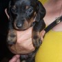 NAME TO BE DECIDED IT IS A MALE